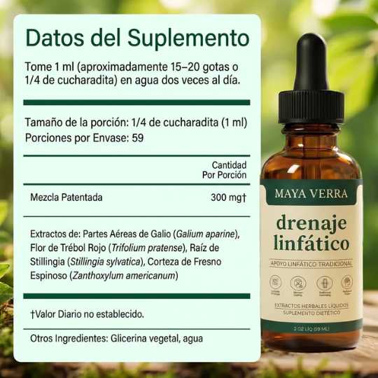 Encabezado