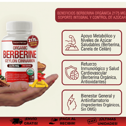 DecentNature Berberine® | Adelgazante con berberina fitosomada natural GLP 1